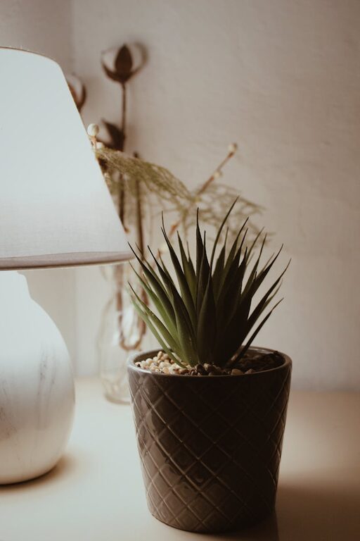 Affordable Tips to Create a Cozy and Inviting Home Atmosphere